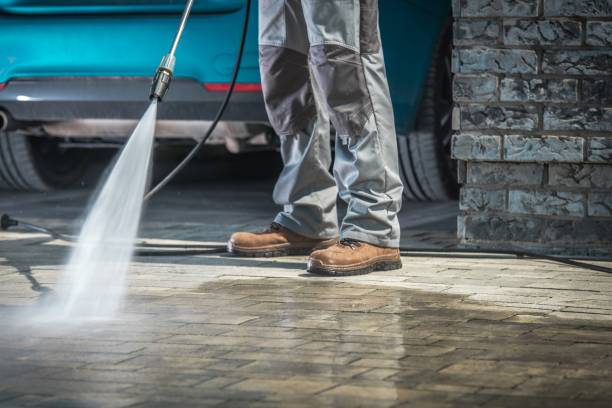 Best Roof Cleaning and Mildew Removal in West Falls Church, VA